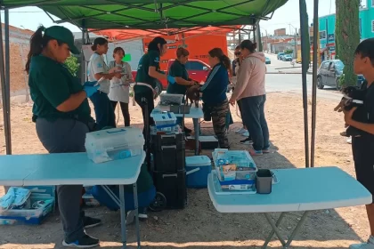 Clínica Veterinaria Móvil, brindará atención a mascotas en dos fraccionamiento del estado