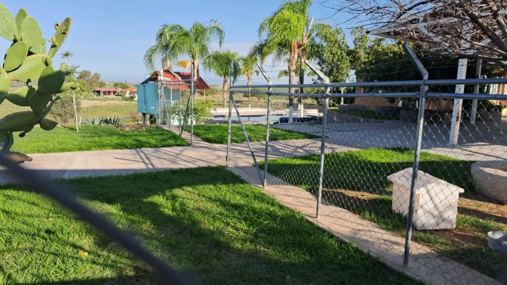 Dentro del inmueble se encontro un narcoinvernadero