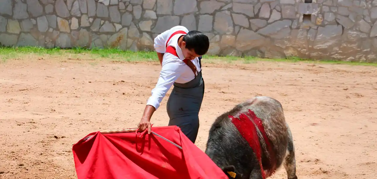 Diego Sánchez cumplirá en Monterrey su corrida 65. Foto: JLMNoticias / Memo Leal.