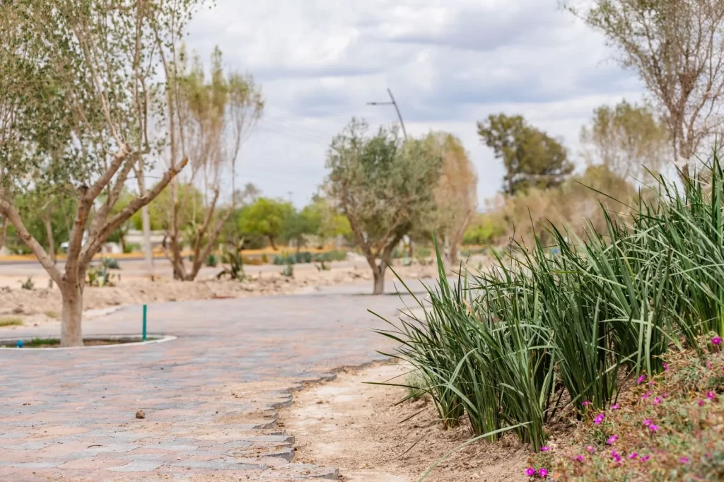 En Zitara se cuida hasta el mas minimo detalle del proyecto eso incluye sus paisajes