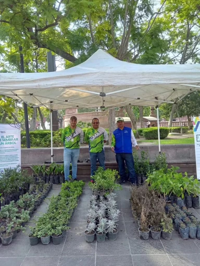 En los viveros se podran encontrar 87 tipos de plantas y mas de 44 especies de arboles