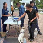 Se estarán ofreciendo 25 lugares por fecha para la esterilización gratuita de felinos y caninos