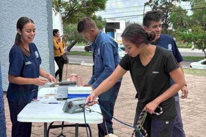 Se estarán ofreciendo 25 lugares por fecha para la esterilización gratuita de felinos y caninos