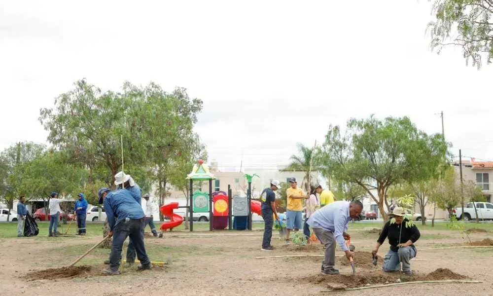 Se plantaron 170 árboles en el parque y en diversas calles como Oblatas, Reformadoras y Adoratrices, de especies como tronadora, crespones, sangre libanesa, huaches, ceibas y pirules