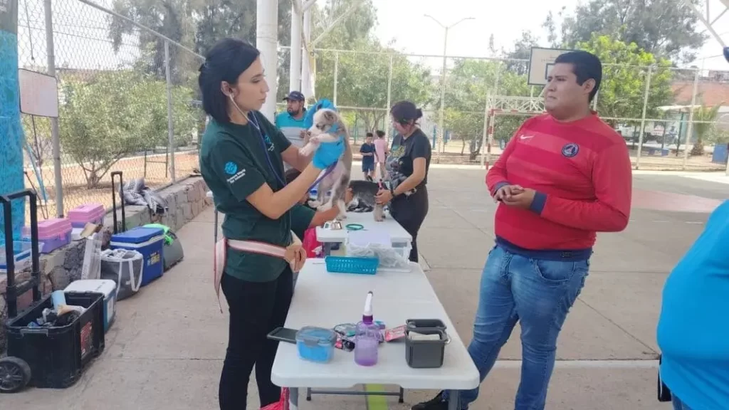 Durante junio se brindarán servicios veterinarios gratuitos en diferentes puntos de la Delegación Cañada Honda