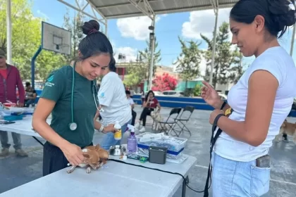 Se brindará atención veterinaria para mascotas de las Comunidades Santa María de Gallardo y Jaltomate