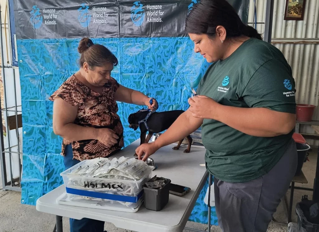 La Clinica Veterinaria Movil brindara asesorias en tutela responsable y platicas para ninos sobre el Bienestar Animal