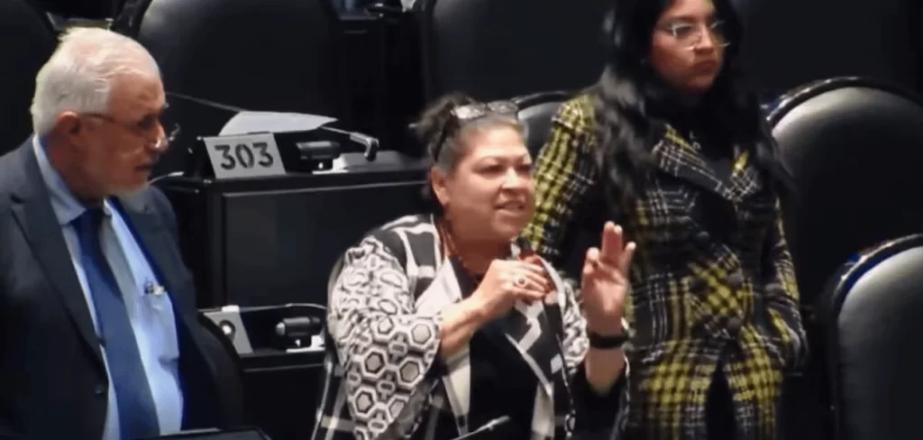 La diputada Olga Leticia Chávez Rojas admitió el uso de la IA para evitar leer las 205 páginas de las iniciativas sobre cambios a la Ley de Seguridad
