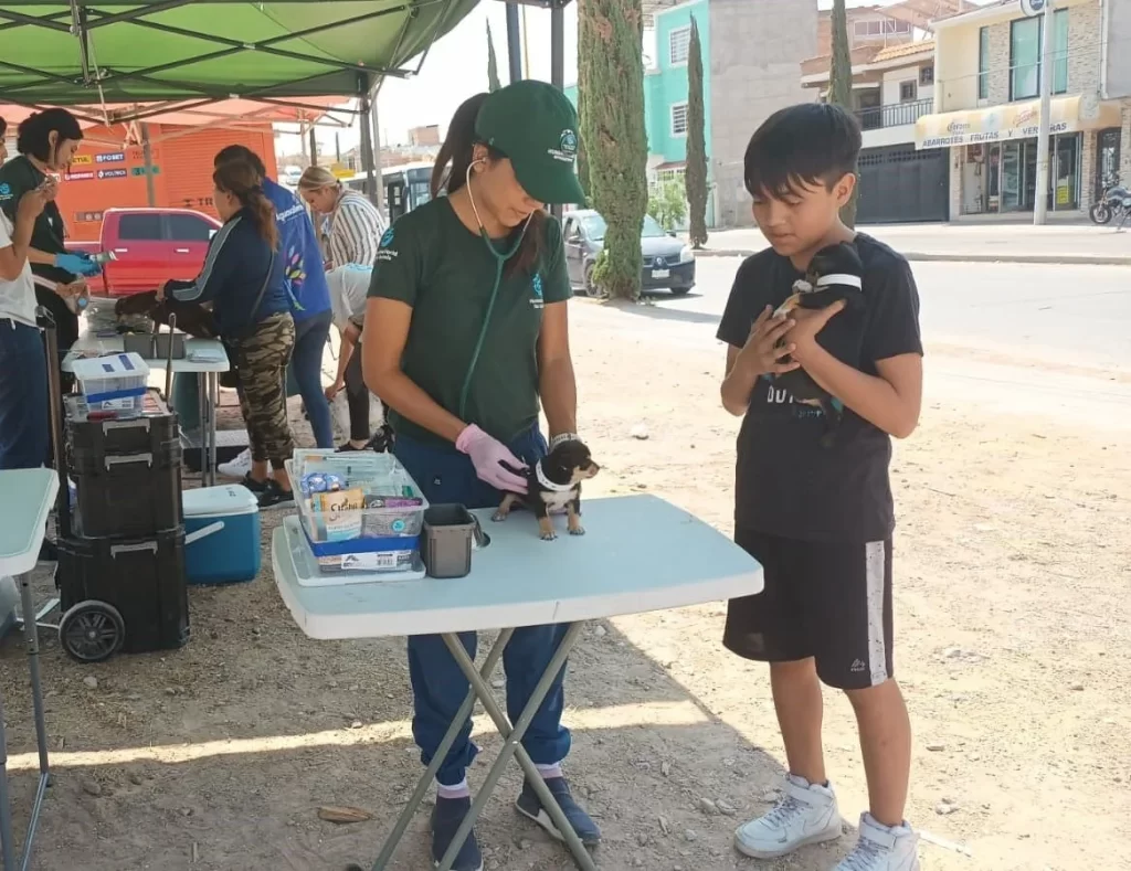 Los puntos de atencion seran en el fraccionamiento Soberana Convencion Revolucionaria y colonia Pirurles