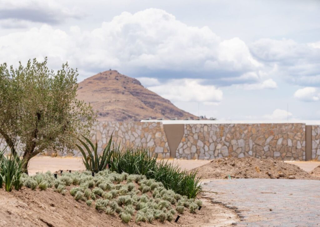 Para lograr los mejores paisajes en Zitara se aposto por la vegetacion nativa una tendencia que poco se ve en Mexico