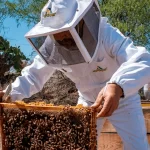 Sector apícola recibe equipamiento para el reforzamiento de su actividad