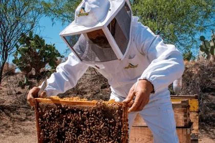 Sector apícola recibe equipamiento para el reforzamiento de su actividad
