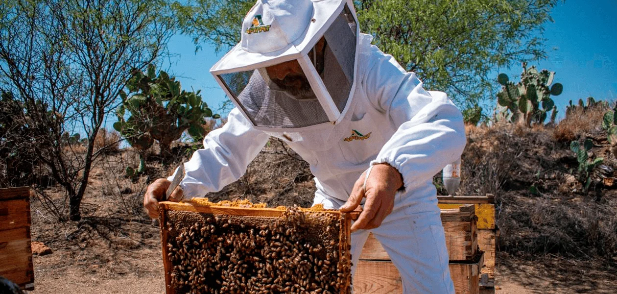 Sector apícola recibe equipamiento para el reforzamiento de su actividad