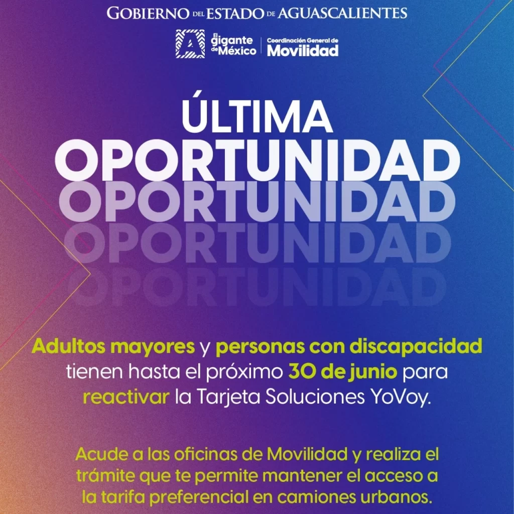 WhatsApp Image 2025 05 30 at 15.06.11 1