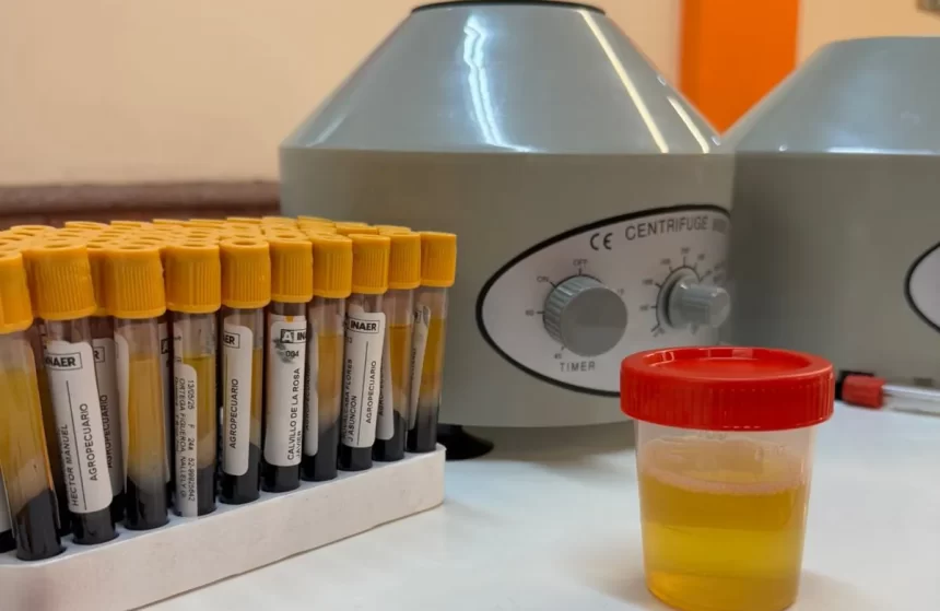 WhatsApp Image 2025 06 01 at 12.58.35 PM e1749250989904