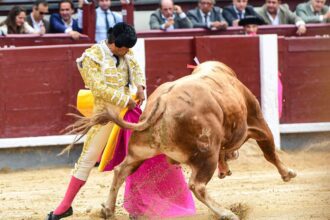Muestra Joselito Adame en su corrida 600 y la 18 en Las Ventas, técnica y buen oficio
