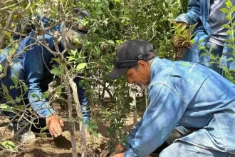 WhatsApp Image 2025 06 06 at 4.10.30 PM