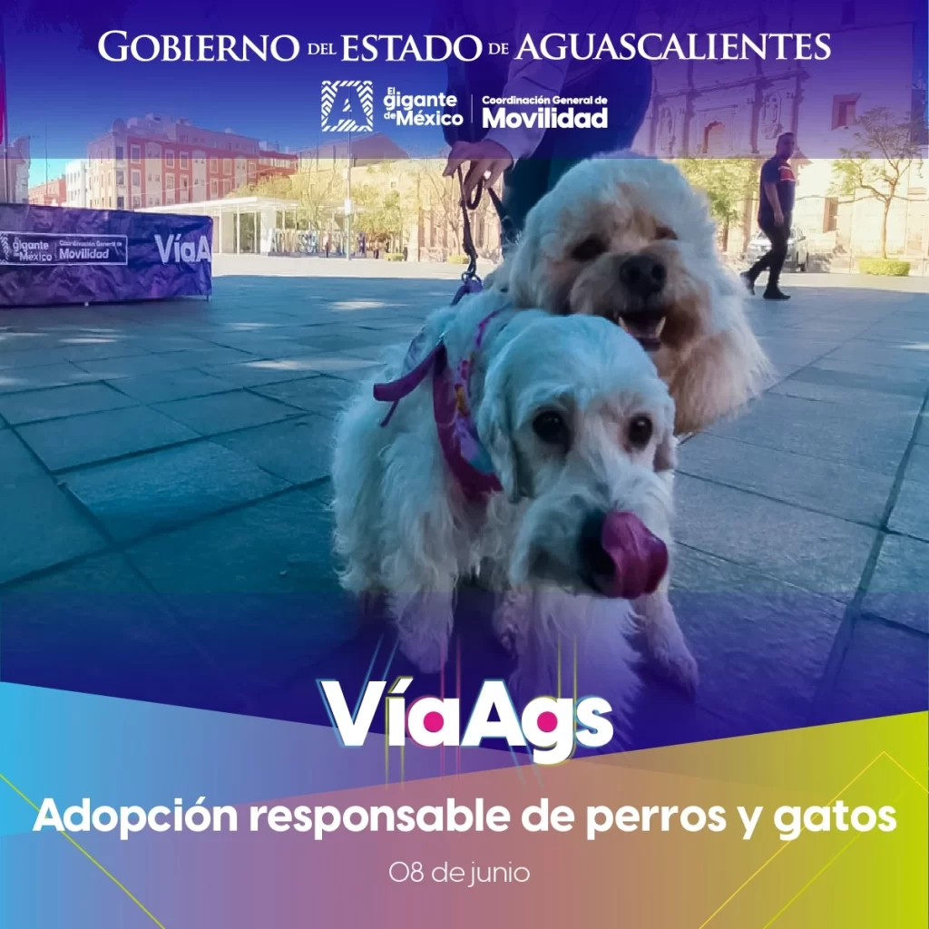 WhatsApp Image 2025 06 06 at 4.55.51 PM 2