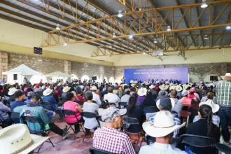 WhatsApp Image 2025 06 14 at 14.03.43 1