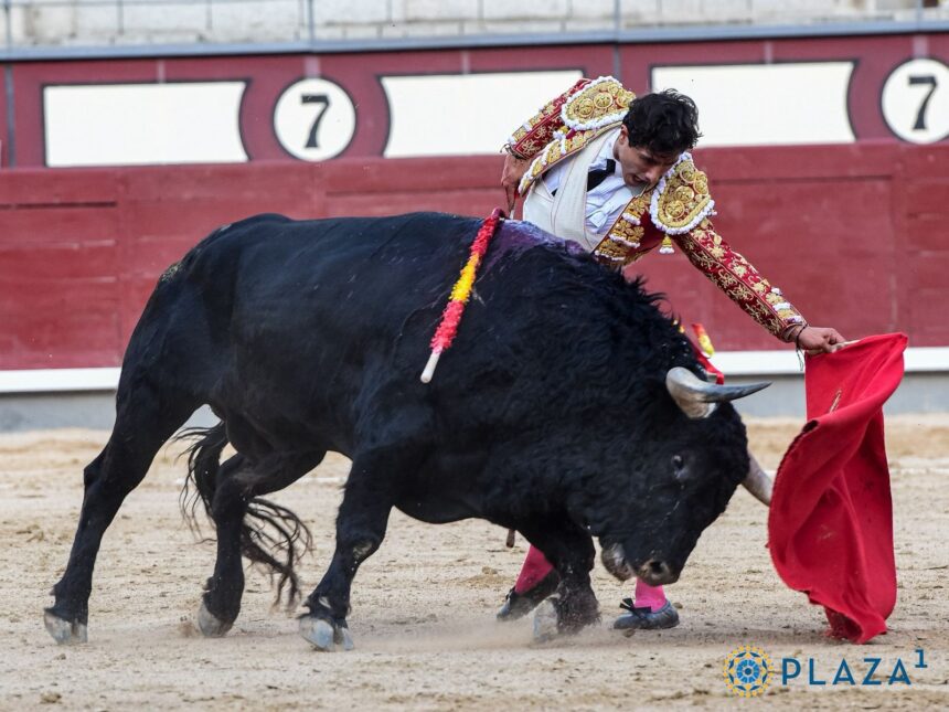 Luis David Adame/Foto: Plaza 1