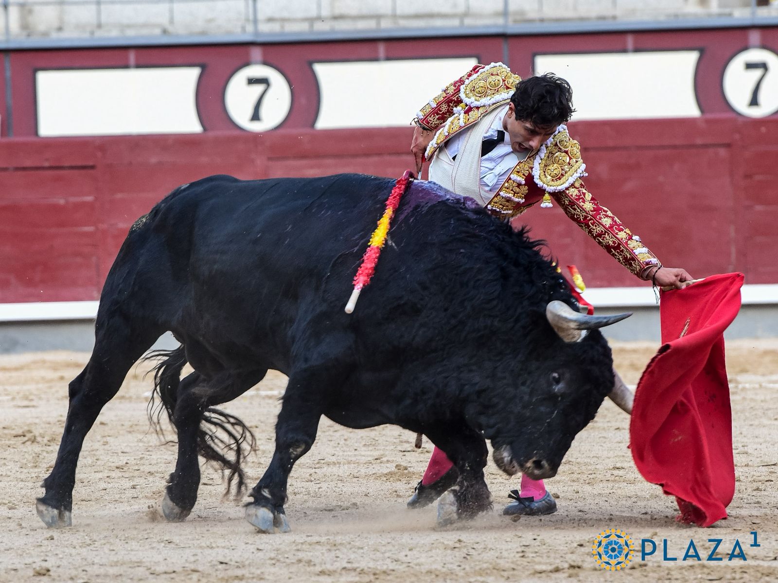 Luis David Adame/Foto: Plaza 1