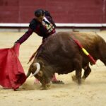 WhatsApp Image 2025 06 29 at 15.07.29