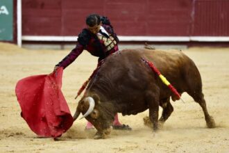 WhatsApp Image 2025 06 29 at 15.07.29