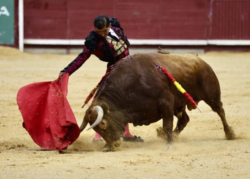 WhatsApp Image 2025 06 29 at 15.07.29