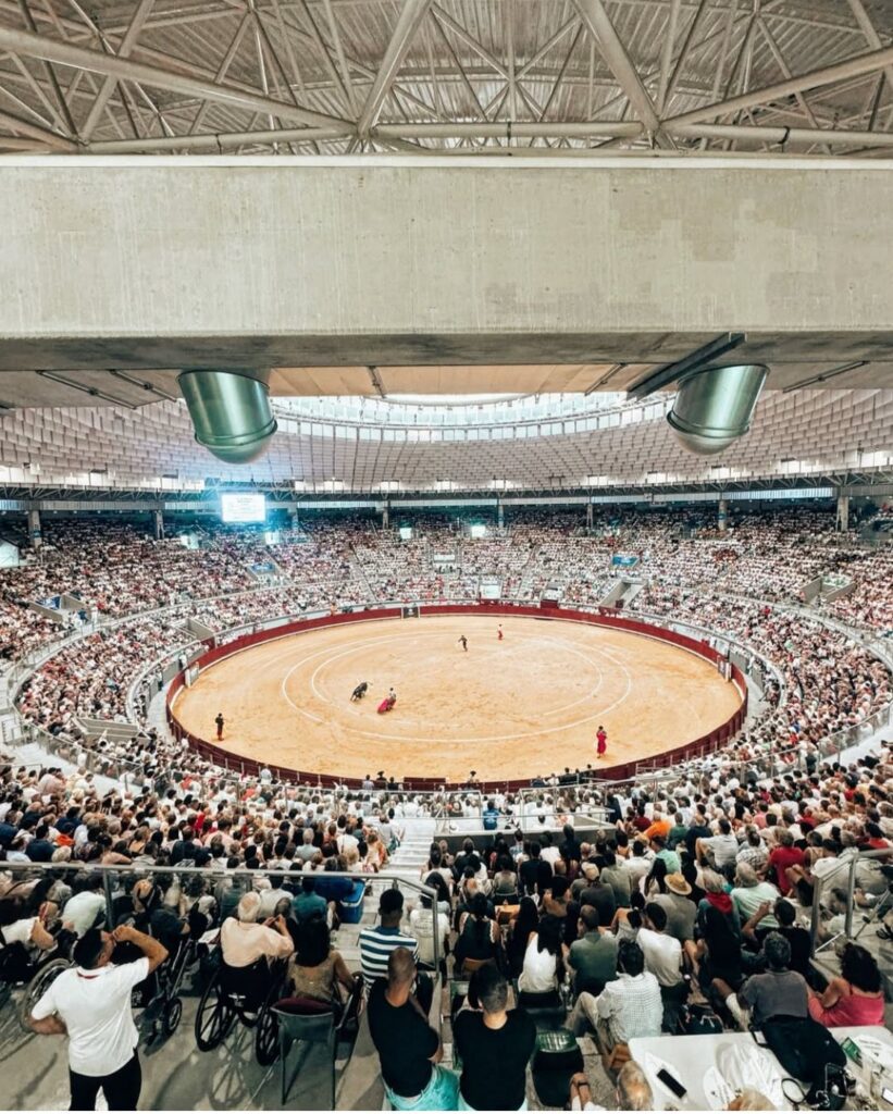 WhatsApp Image 2025 06 29 at 15.07.30