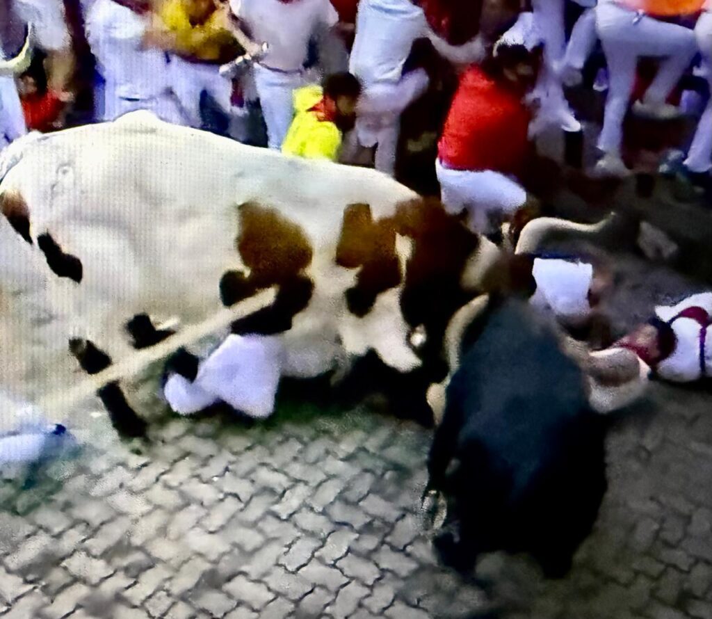 4 Navegante Cabestro