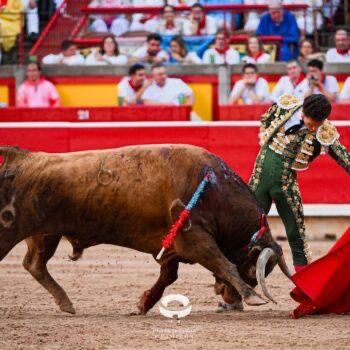 4a04fdd1 068c 4f02 865b 37022bda46d4