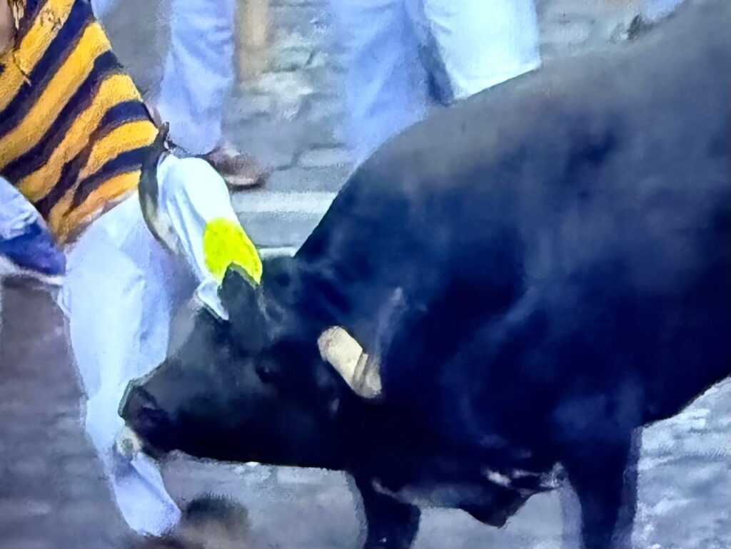 5 Corredores Revolcados