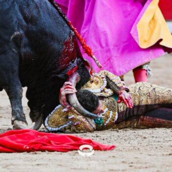 80db4318 c596 4c80 b316 f3e0ce4dd9a1