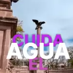 Además de cuidar el medio ambiente, MIAA te ofrece una forma más sencilla de pagar tu recibo sin salir de casa.