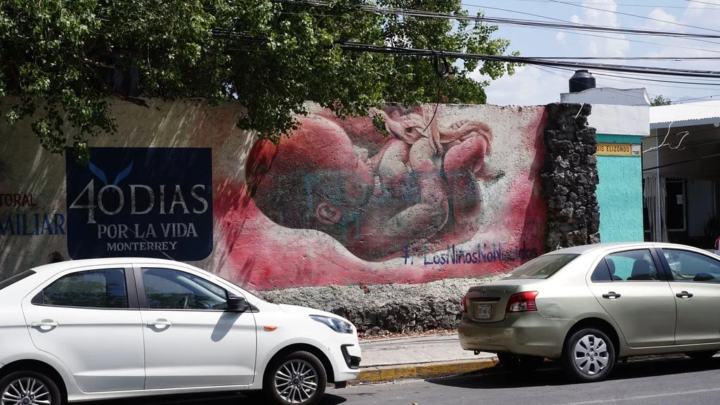 Asociaciones provida realizaron un movimiento llamado 40 Dias por la Vida. Foto Jorge Balleza Open Democracy
