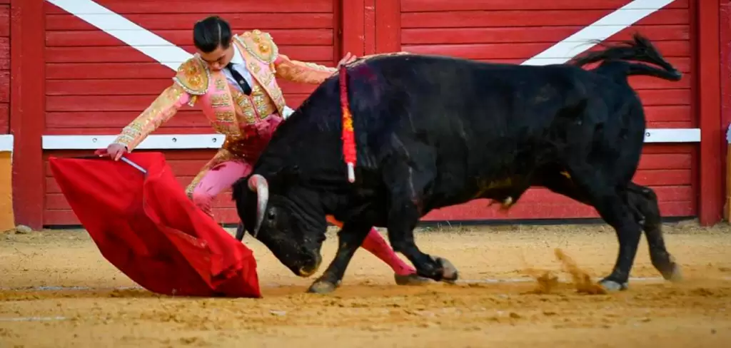 Bruno Aloi comenzó su faena en Tudela, cerca de Pamplona, donde esta tarde hizo su debut. Foto: JLMNoticias / Antonio Catalán.