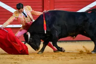 Bruno Aloi comenzó su faena en Tudela, cerca de Pamplona, donde esta tarde hizo su debut. Foto: JLMNoticias / Antonio Catalán.