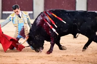 El novillero mexicano Bruno Aloi fue ovacionado dos veces mientras el público lo hizo salir al tercio esta noche en Las Ventas de Madrid. Foto: JLMNoticias / Especial / Memo Leal.