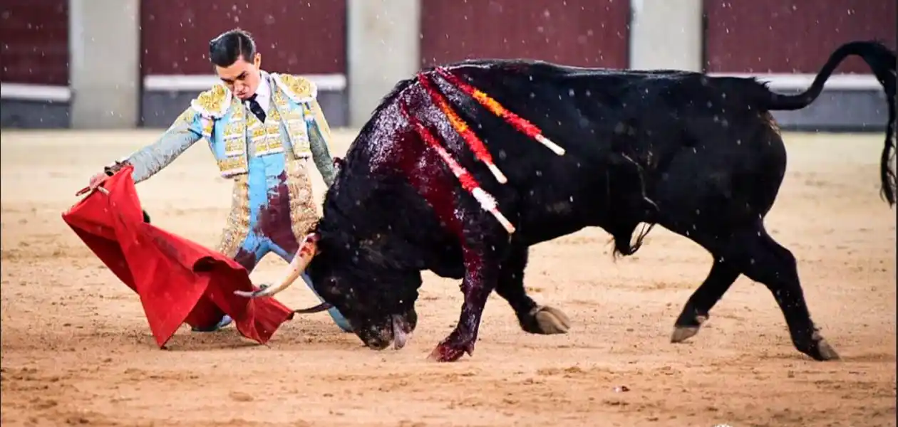 El novillero mexicano Bruno Aloi fue ovacionado dos veces mientras el público lo hizo salir al tercio esta noche en Las Ventas de Madrid. Foto: JLMNoticias / Especial / Memo Leal.
