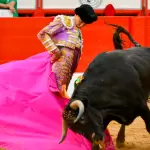 Desde con el capote Bruno Aloi mostró variedad en su debut en la feria de Santander que hoy se inició. Foto: JLMNoticias / Arjona y BA.