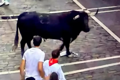 “Caminante” se quedó solo a medio recorrido y protagonizó peligrosos momentos al embestir en sentido contrario a los corredores. Foto: JLMNoticias / PTPamplona.