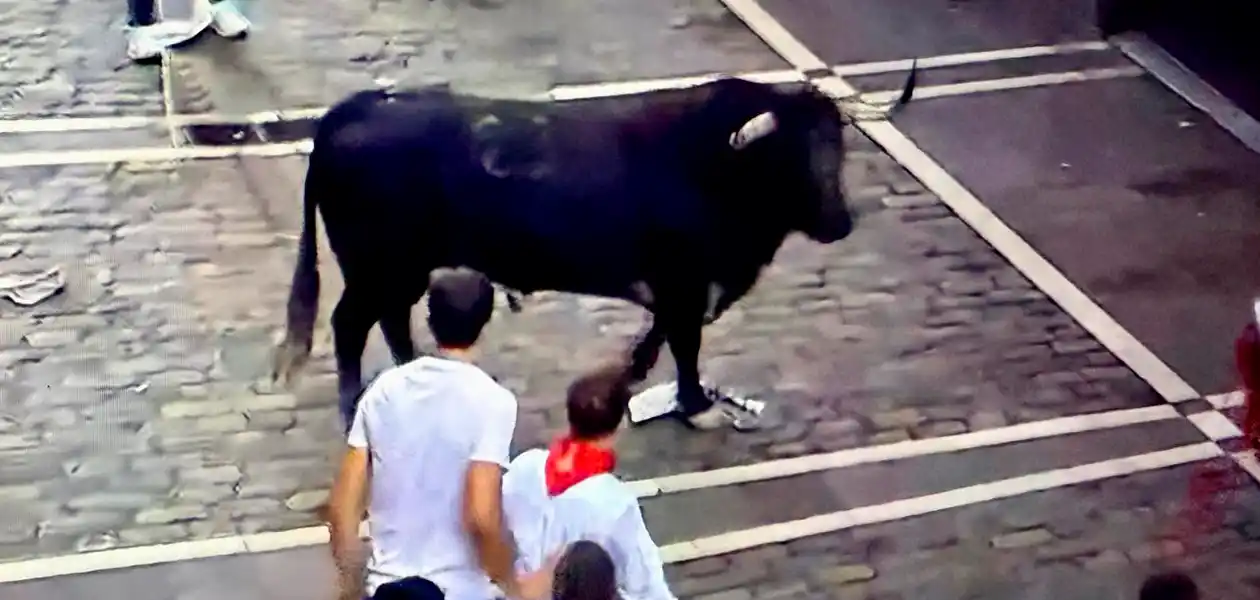 “Caminante” se quedó solo a medio recorrido y protagonizó peligrosos momentos al embestir en sentido contrario a los corredores. Foto: JLMNoticias / PTPamplona.