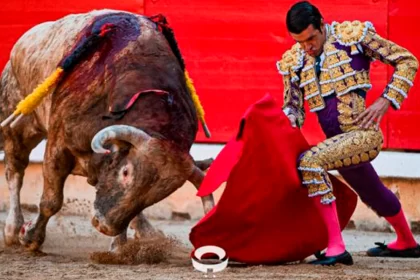También poderoso se mostró Emilio de Justo en el inicio de sus faenas en Pamplona. Foto: JLMNoticias / PTPamplona.