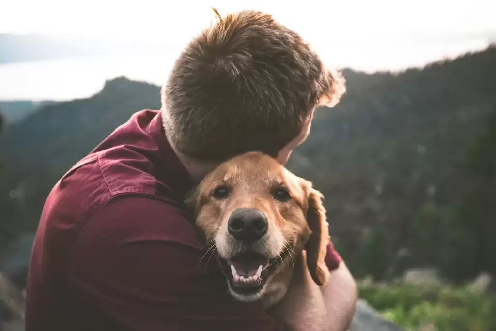 El Dia del Amigo es unaoportunidad para celebrar tambien el amor y fidelidad de las mascotas. Foto Eric Ward Unsplash