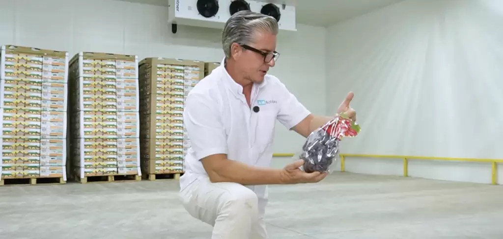 El Ranchito de Aguascalientes cuenta con la uva Red Globe de mayor calidad en todo el estado