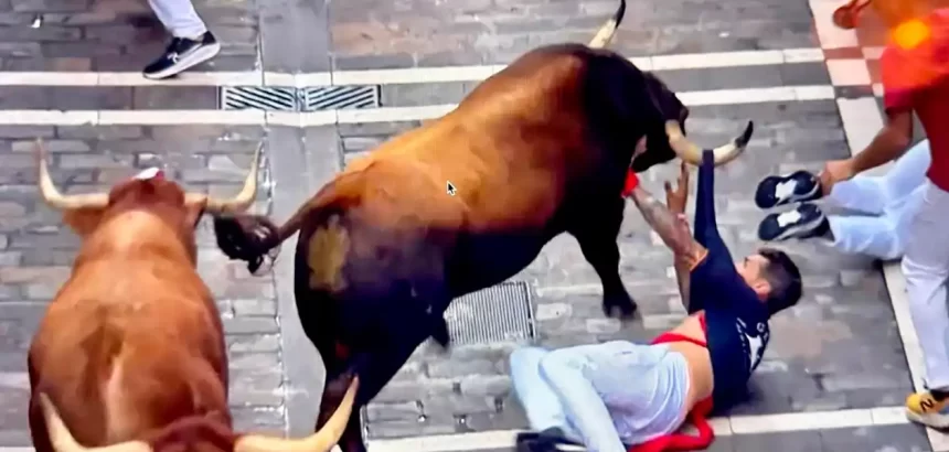 Milagrosamente, se salvó este corredor que fue arrastrado más de diez metros por este castaño que, pese a todo, mostró nobleza al no buscar herir al mozo. Foto: JLMNoticias / PTPamplona.