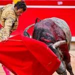 Fernando Robleño con su último toro de Pamplona “Cartero” que pesó 595 kilogramos. Foto: PTPamplona.