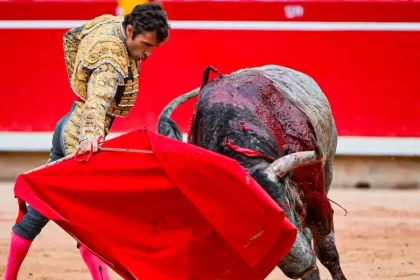 Fernando Robleño con su último toro de Pamplona “Cartero” que pesó 595 kilogramos. Foto: PTPamplona.