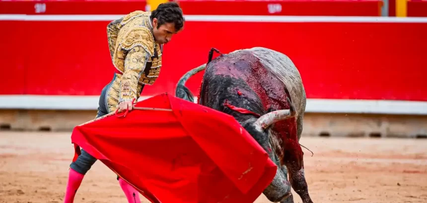 Fernando Robleño con su último toro de Pamplona “Cartero” que pesó 595 kilogramos. Foto: PTPamplona.