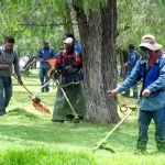 Imagen de WhatsApp 2025 07 02 a las 14.17.20 2dd93ec4